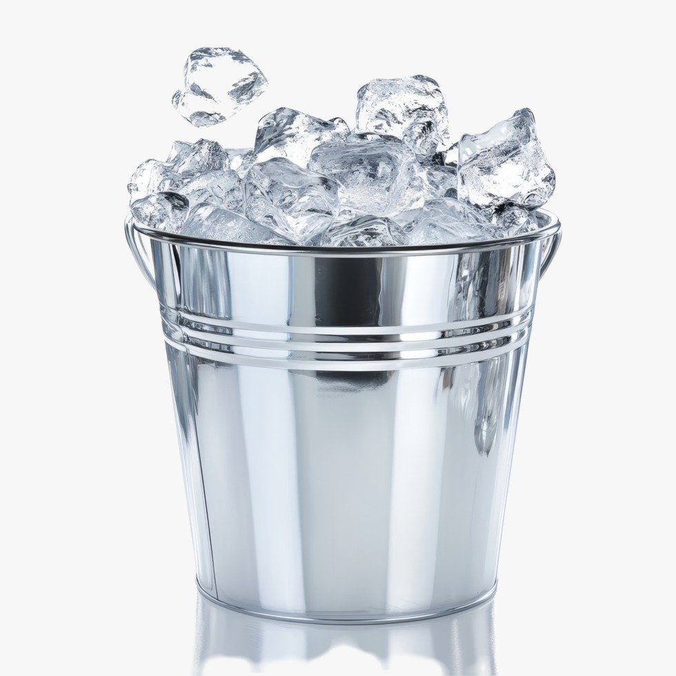 Mini Galvanized Ice Bucket with Swivel Handle