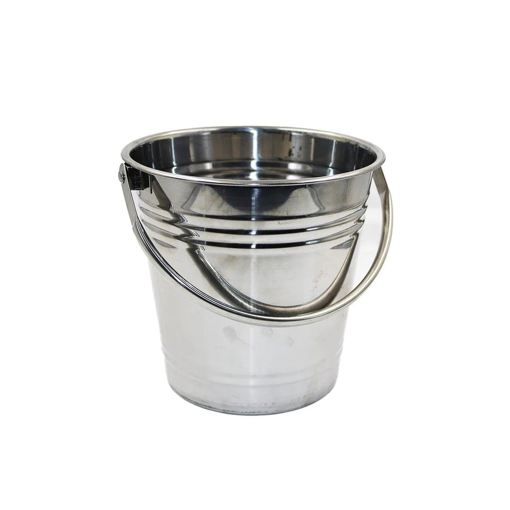 Mini Galvanized Ice Bucket with Swivel Handle