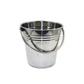 Mini Galvanized Ice Bucket with Swivel Handle